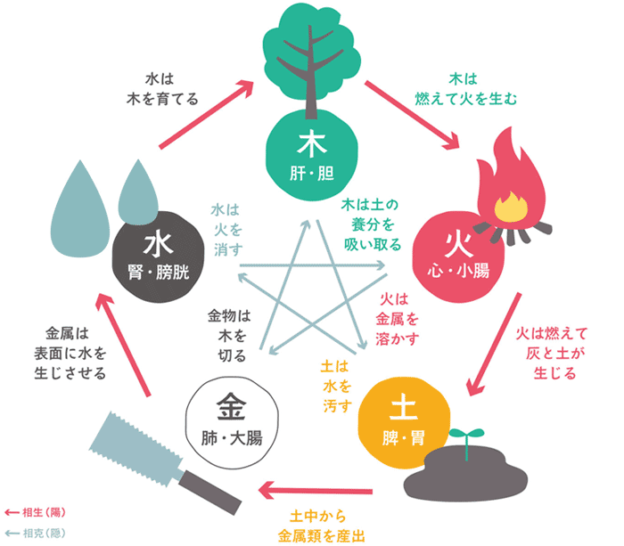 中医学の「五行」の図解